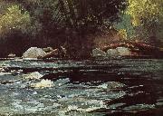 Winslow Homer Hudson River Rapids oil